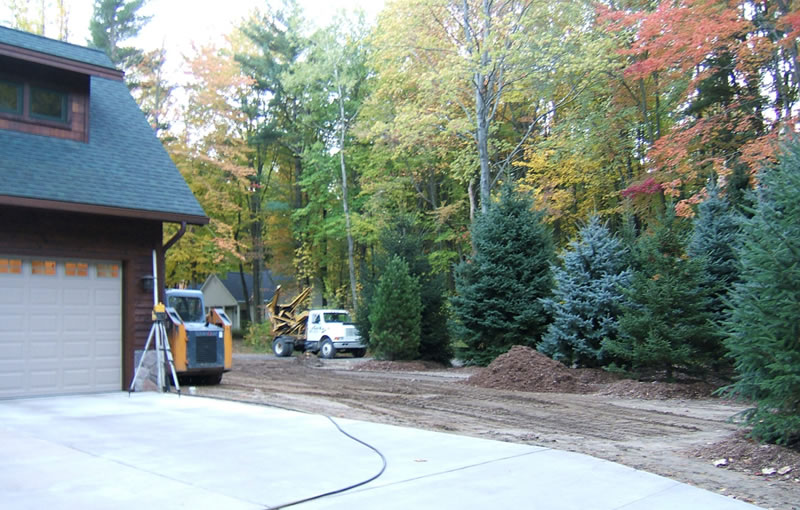 Instant Gratification Tree Spading Southwest Michigan's Mature Tree